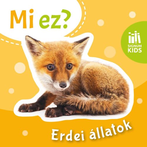 Mi ez? - Erdei állatok