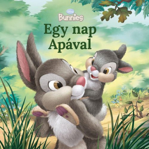 Disney Bunnies - Egy nap Apával